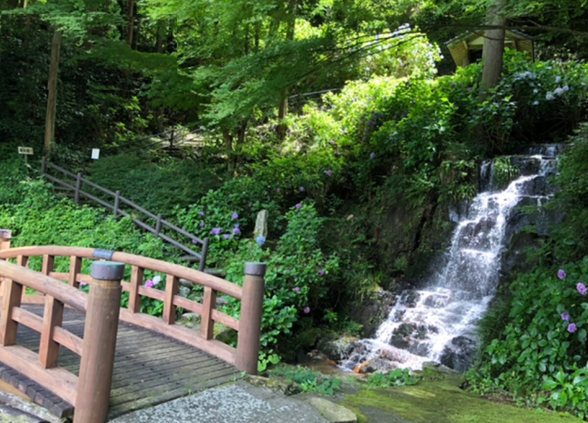 花と渓流の里公園(小滝)