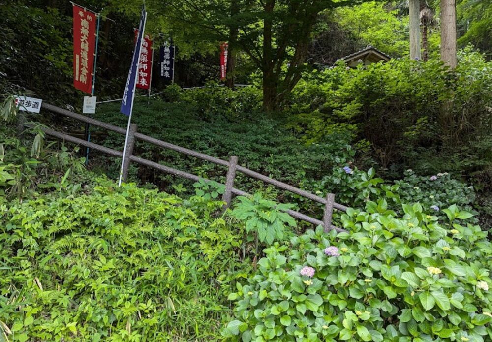 花と渓流の里公園(小滝)遊歩道