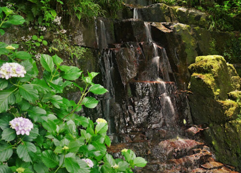 花と渓流の里公園(小滝)の滝