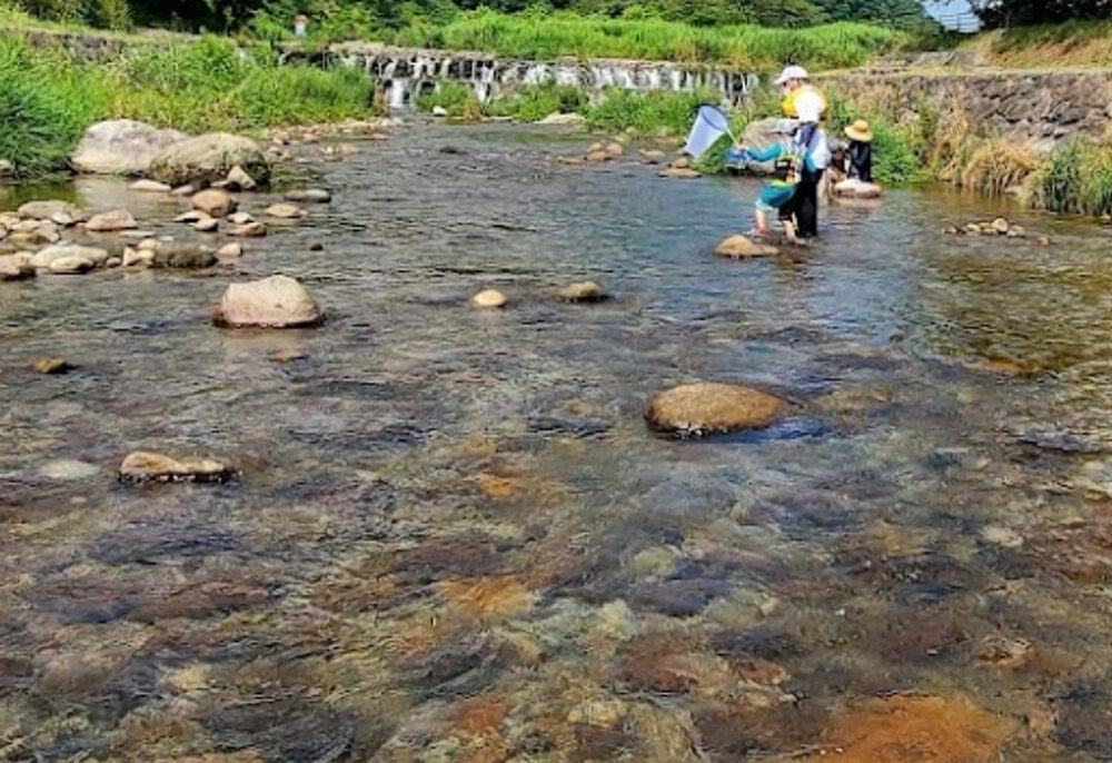 川上河川公園の水