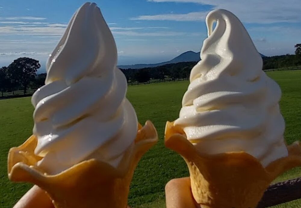 大山まきばみるくの里ソフトクリーム