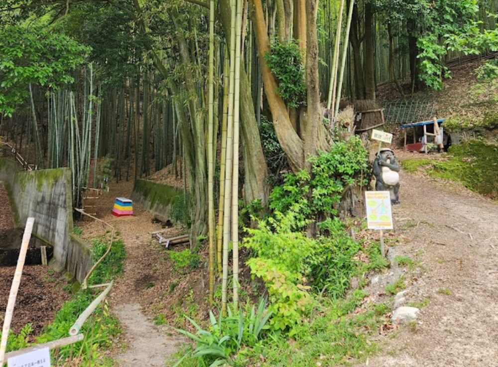 天王池の竹林の風景