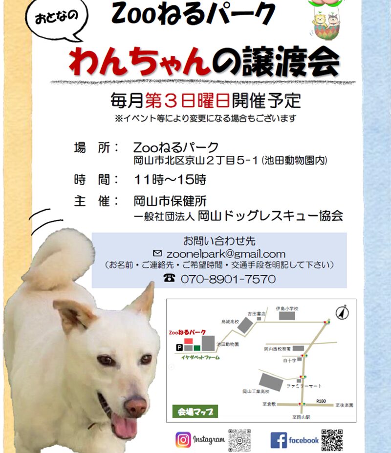 ZOOねるパーク犬の譲渡会