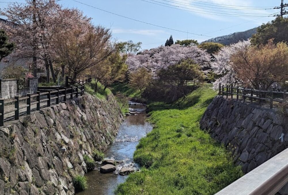 鷺湯公園（うめぼし公園）の川