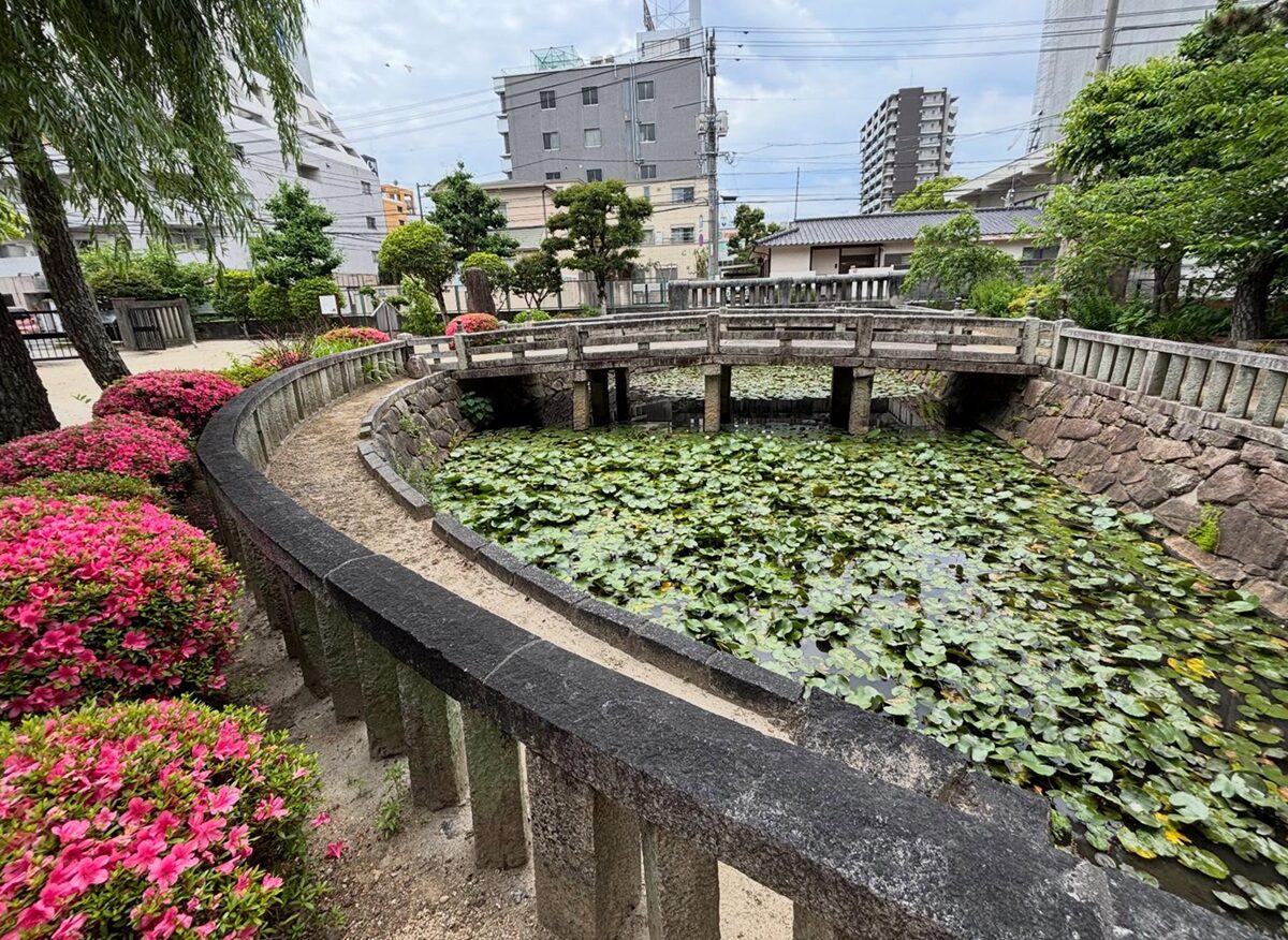 旧岡山藩藩学跡の池