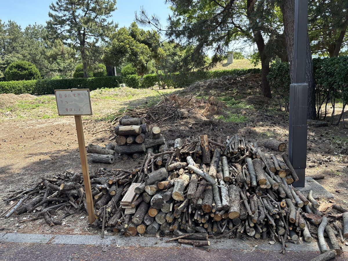 日吉津村海浜運動公園キャンプ場の薪