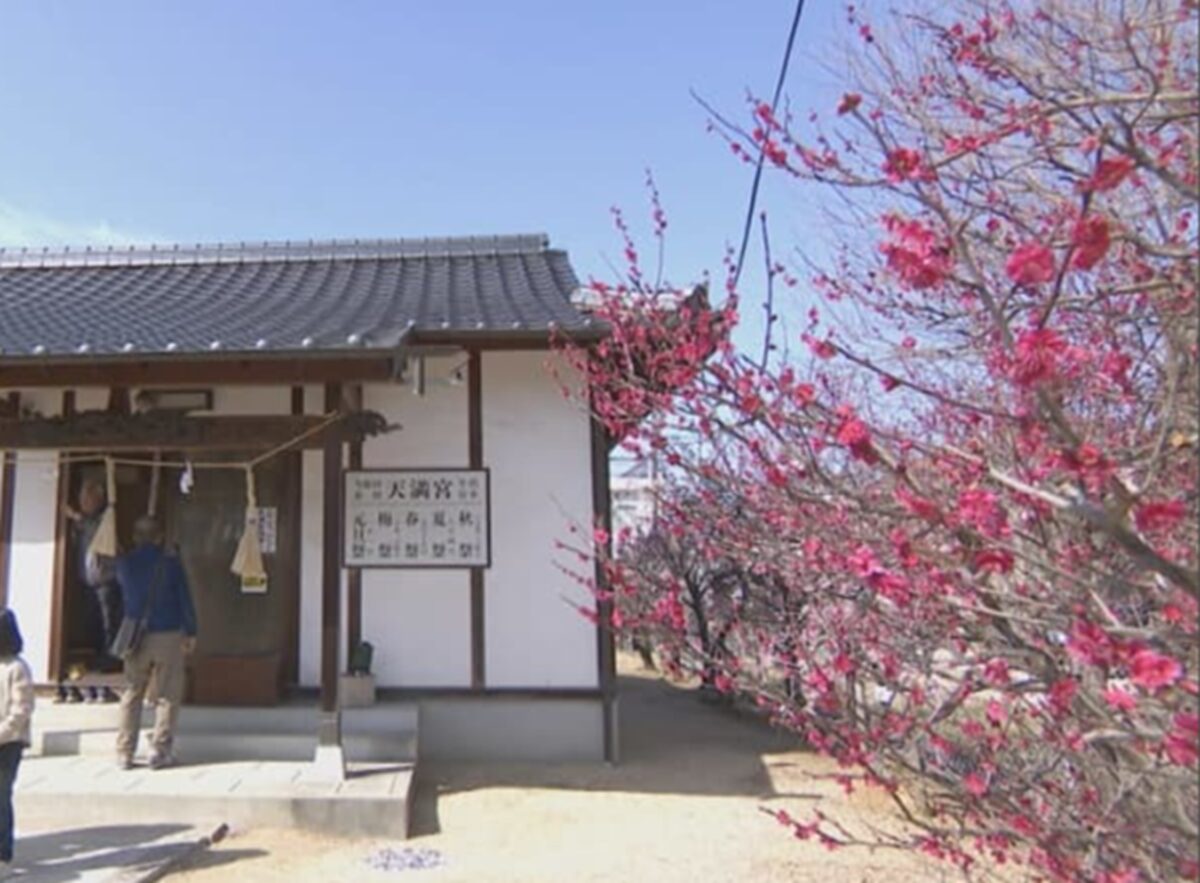 当新田 泉田天満宮