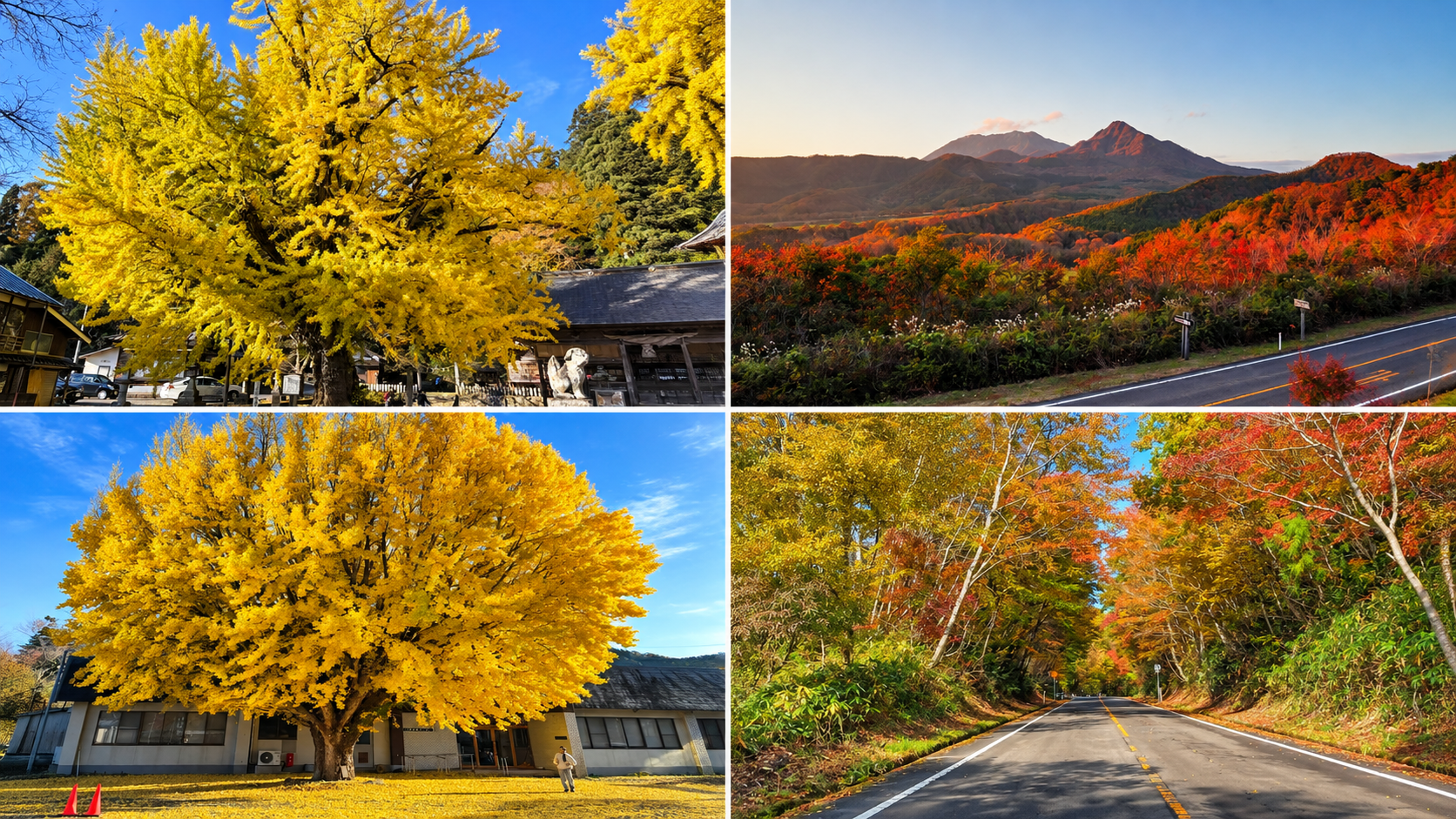 真庭市蒜山の紅葉が美しいスポット4選